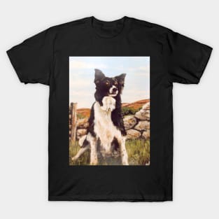 THE SHEEP DOG PENNY T-Shirt